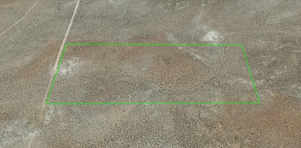 Picture 5