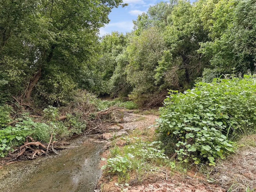 Picture 18