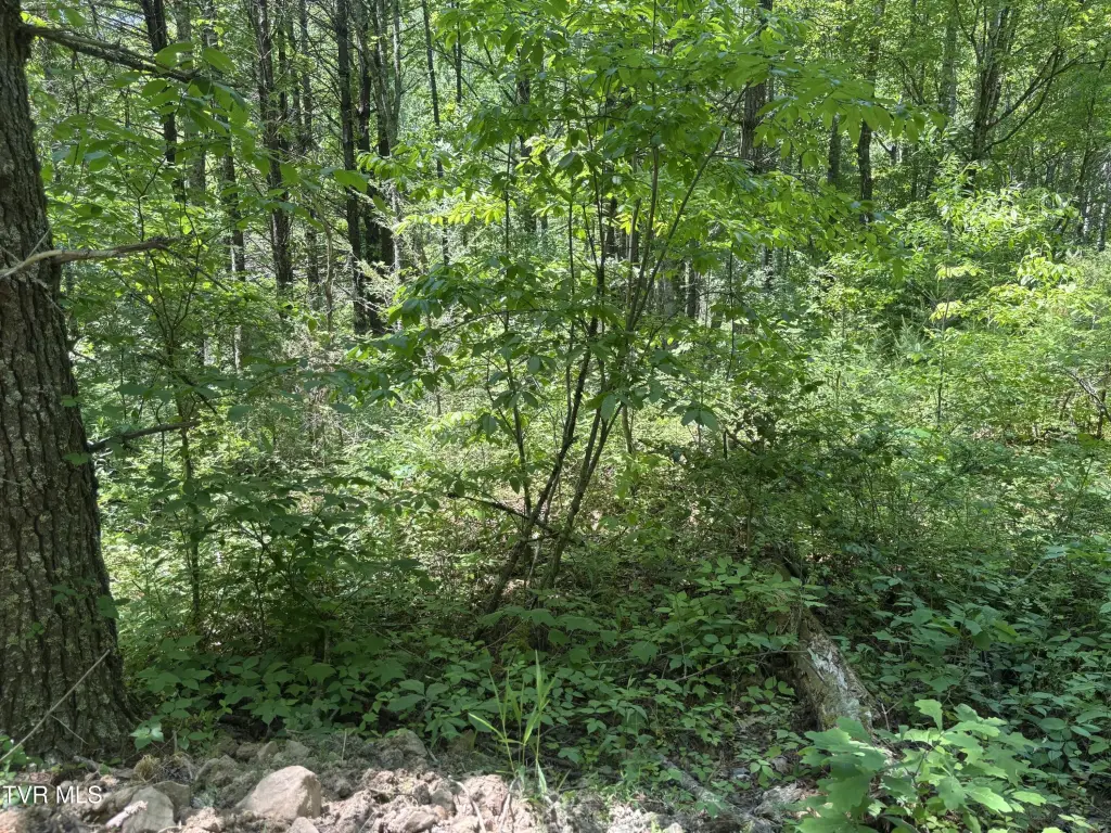 Picture 2