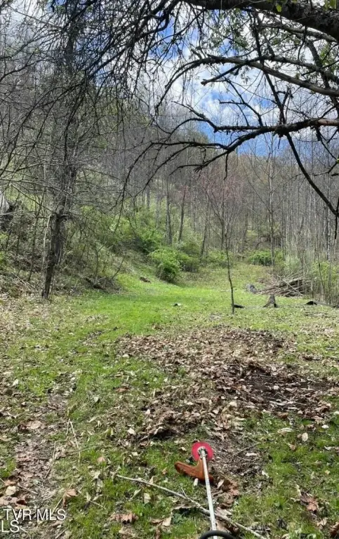 Picture 7