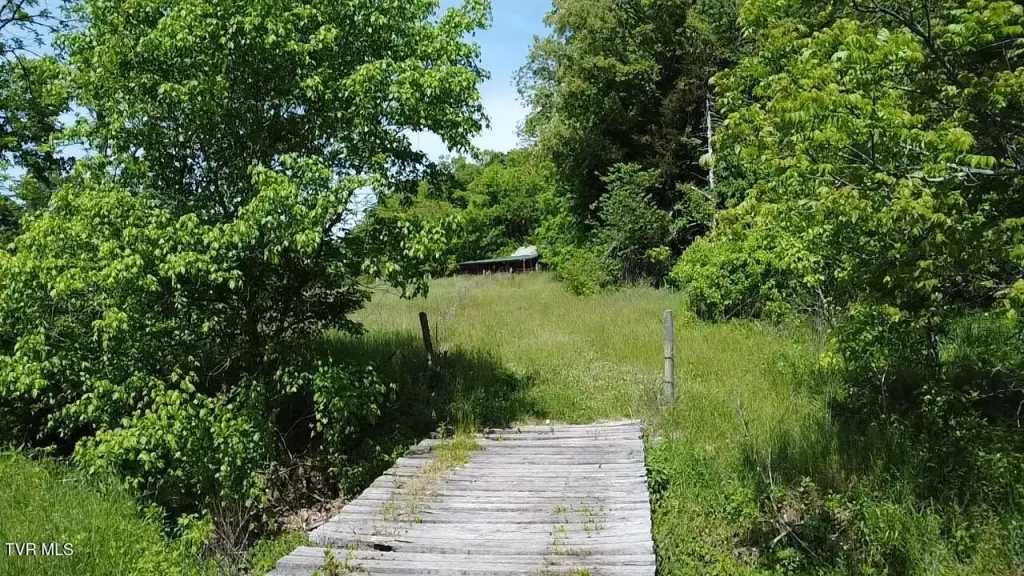 Picture 4