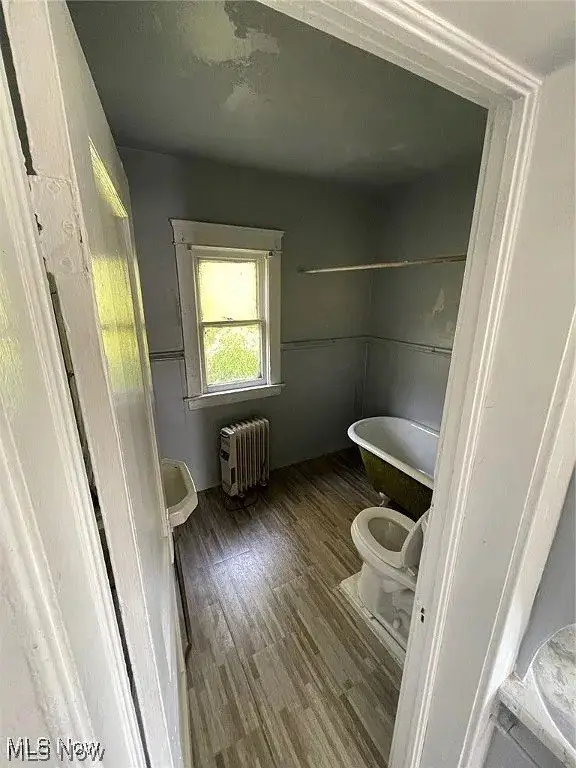 Picture 10