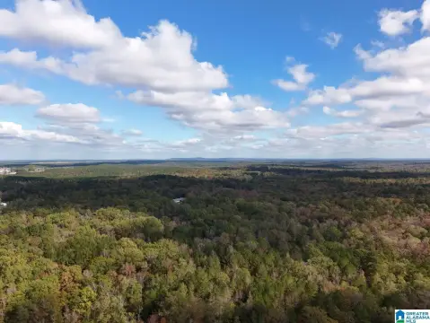 Calera Acreage Near I-65