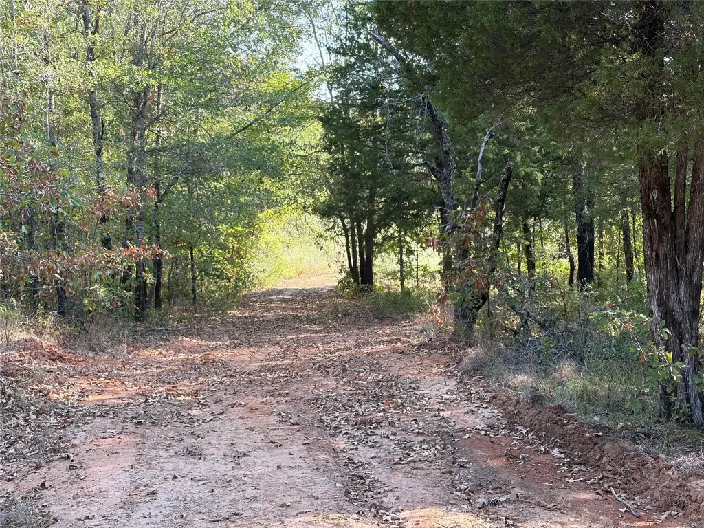 Picture 17