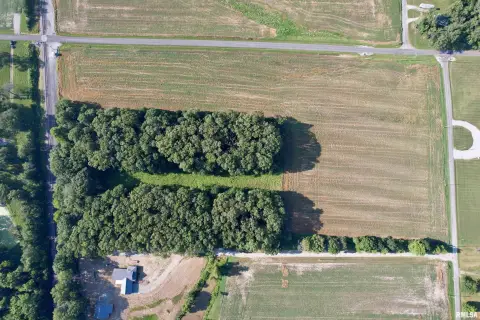 Farmland and Timber Near Centralia