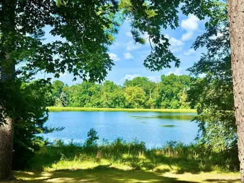 Scenic Lakefront Property in Hillister