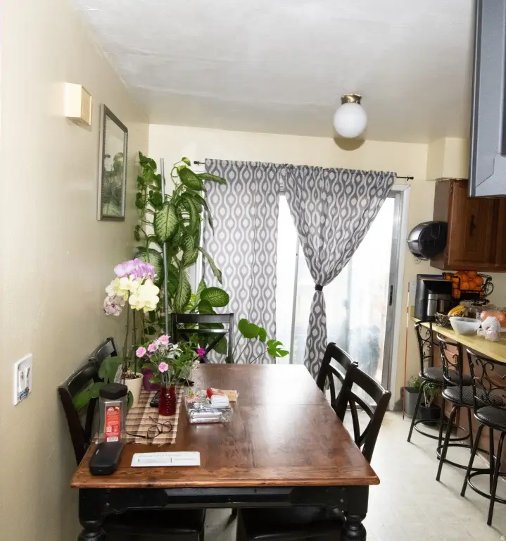 Picture 13