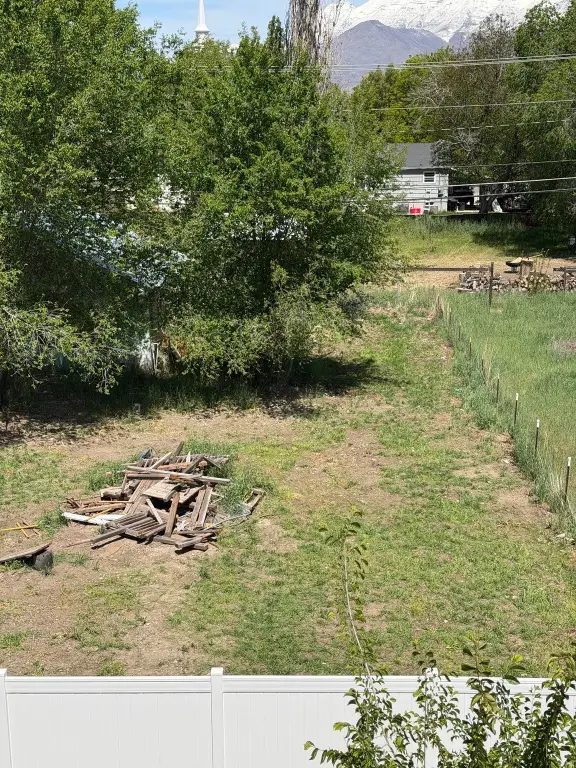 Picture 4