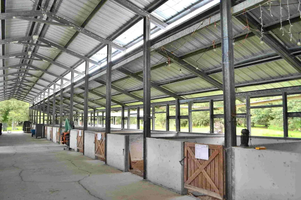 Picture 6