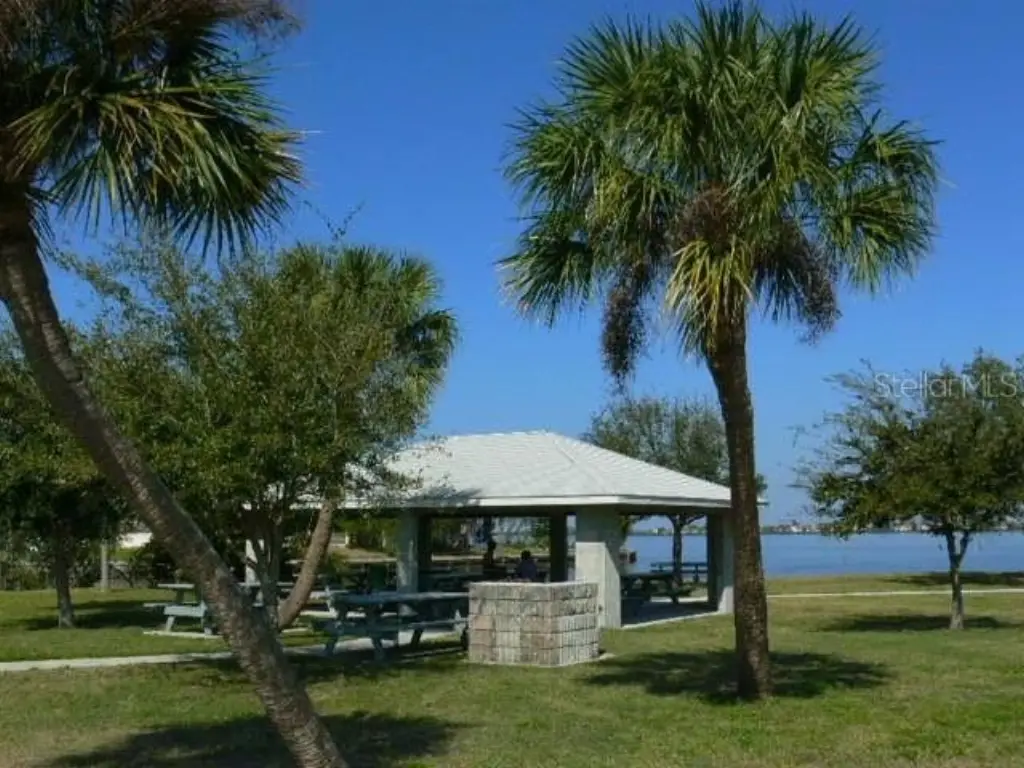 Picture 6