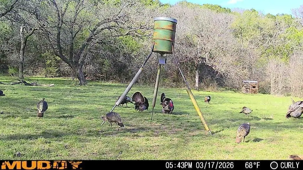 Picture 30
