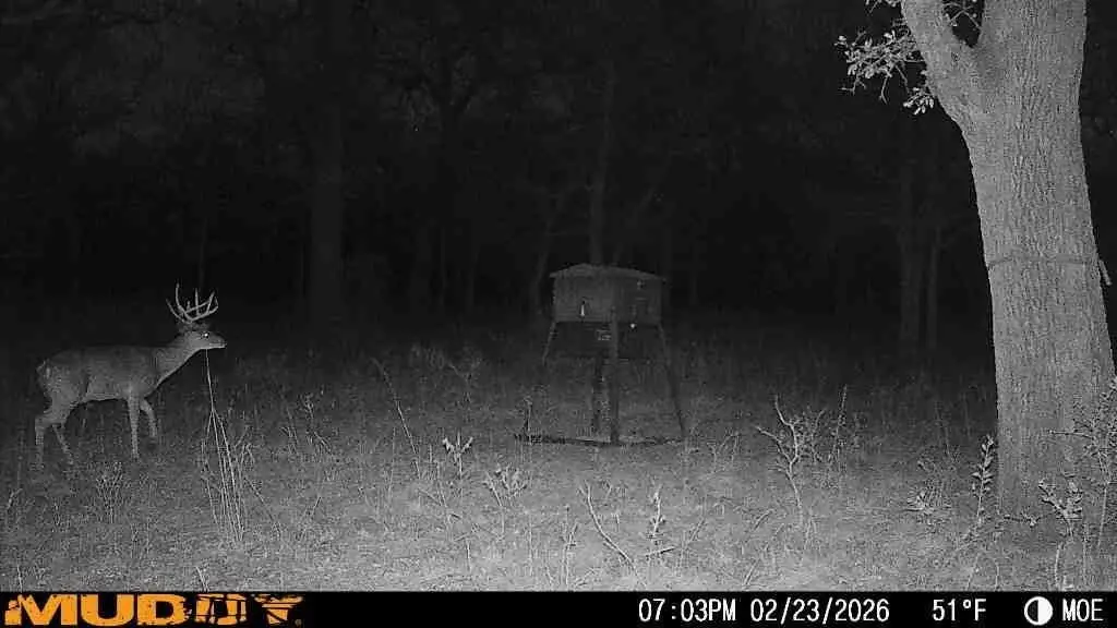 Picture 25