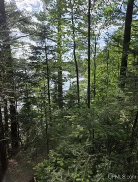 Waterfront Land in Iron River