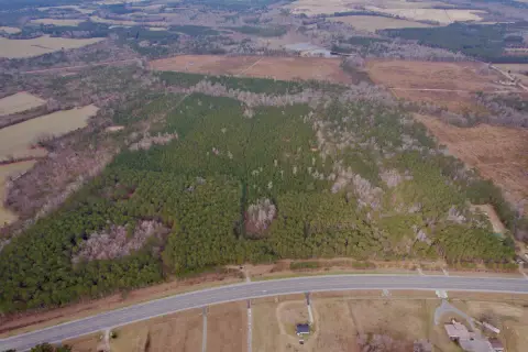 Versatile Acreage in Salters, SC