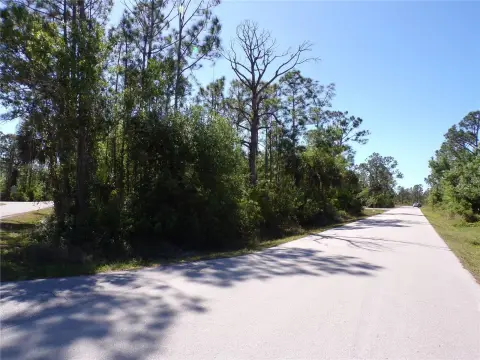 Residential Land in Punta Gorda