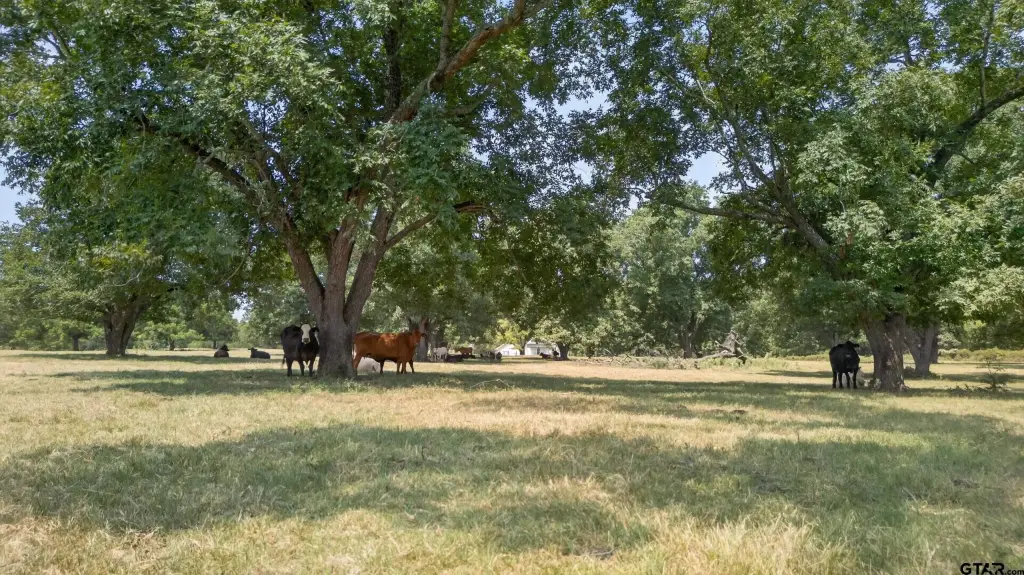 Picture 19