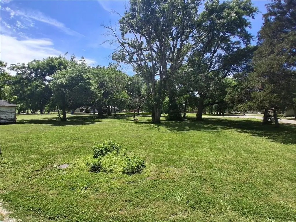 Picture 15