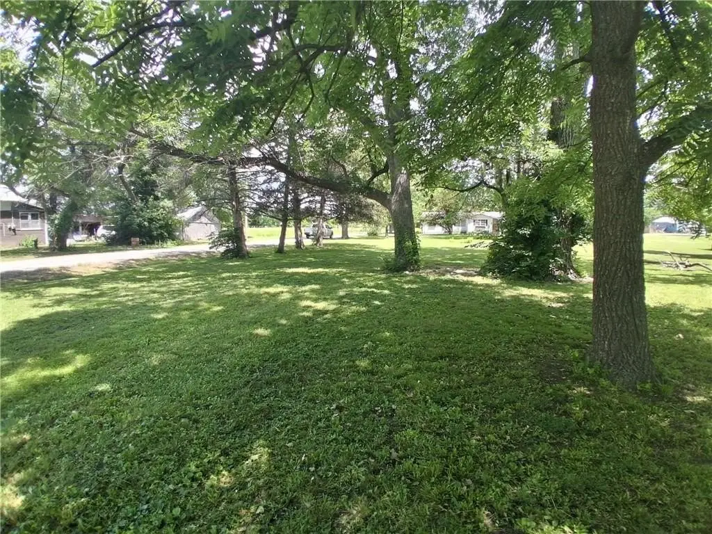 Picture 3