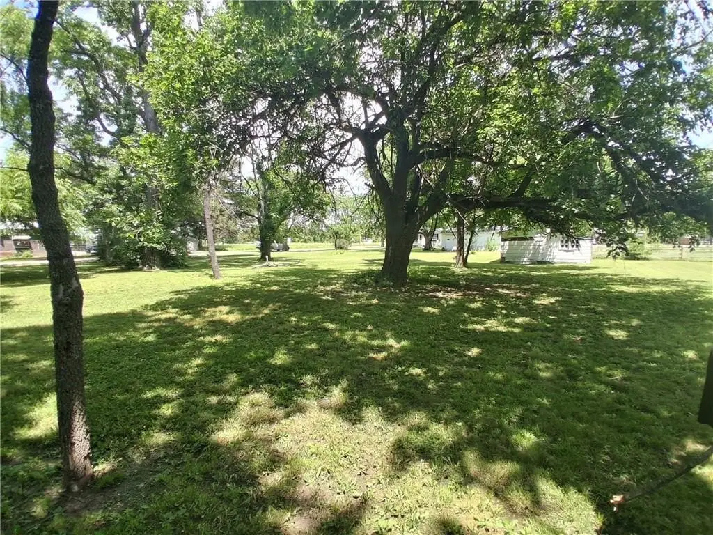 Picture 5