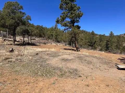 35 Acres in Big Pine Ridge