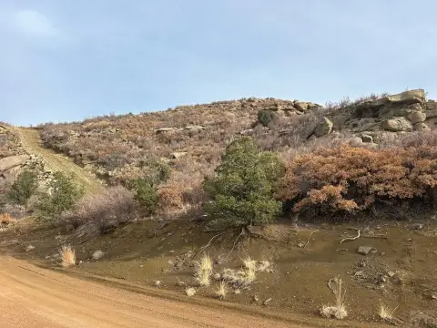 Primero Ranch Land For Sale