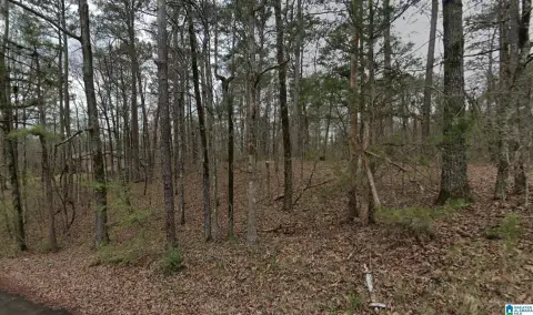Acreage in Pinson, Alabama