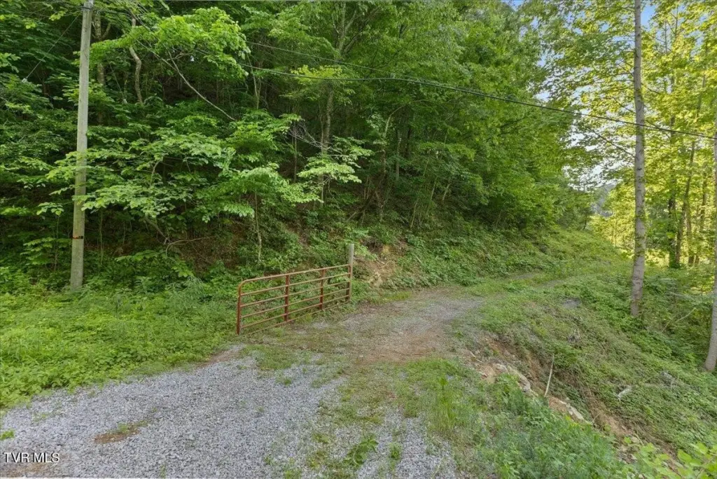 Picture 13
