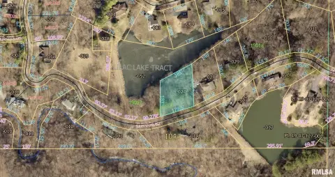 Carbondale Land with Lake Views