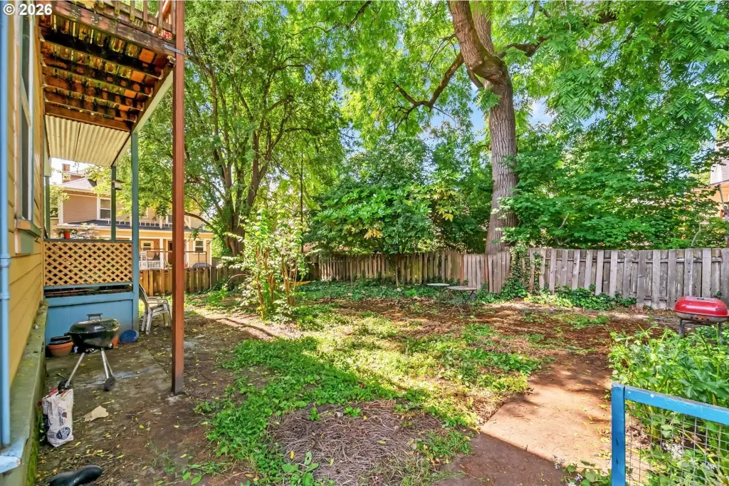 Picture 25