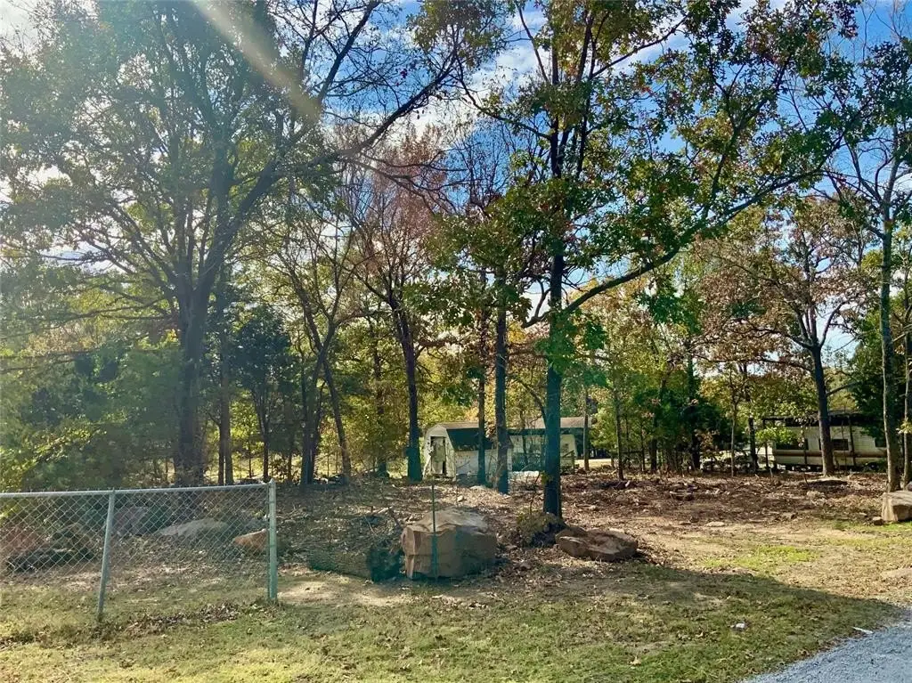 Picture 17