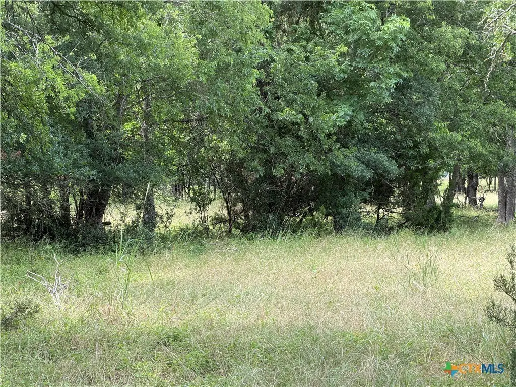 Picture 16