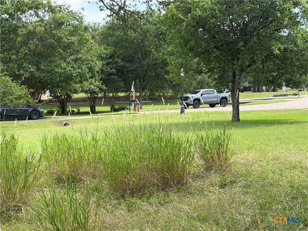 Picture 13