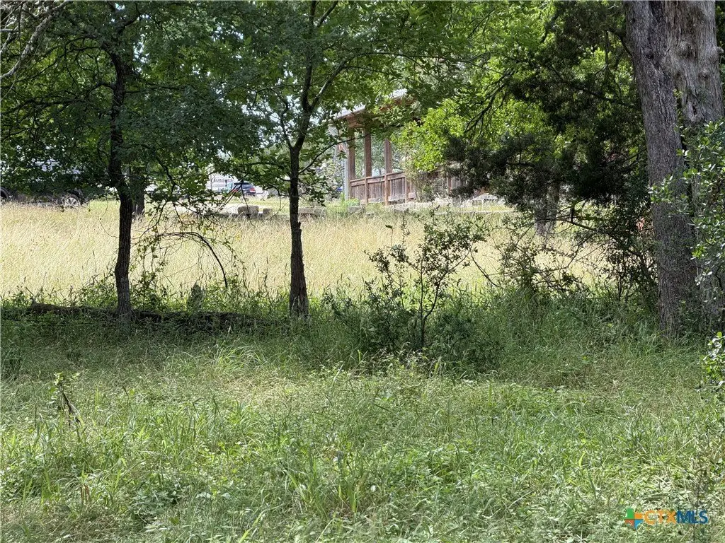 Picture 15