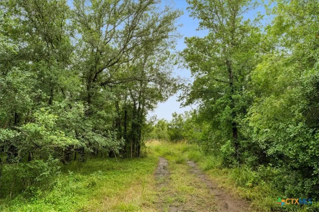 Picture 22