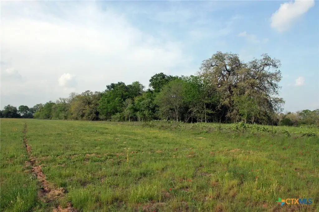 Picture 9