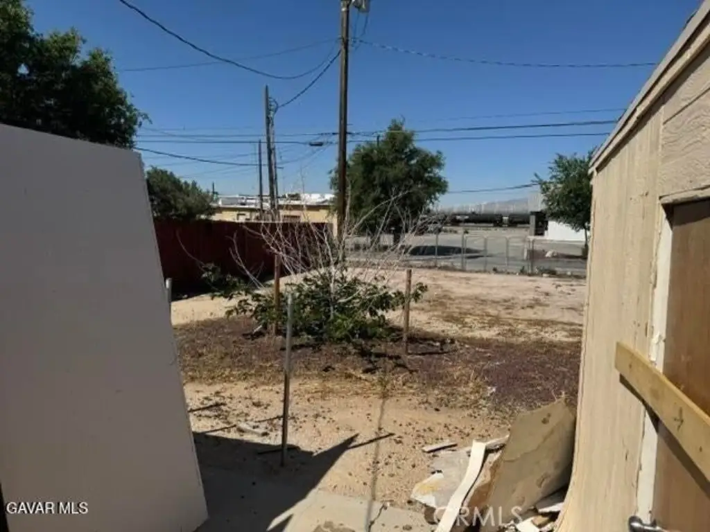 Picture 19