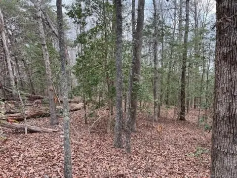 Toano, VA Wooded Lot