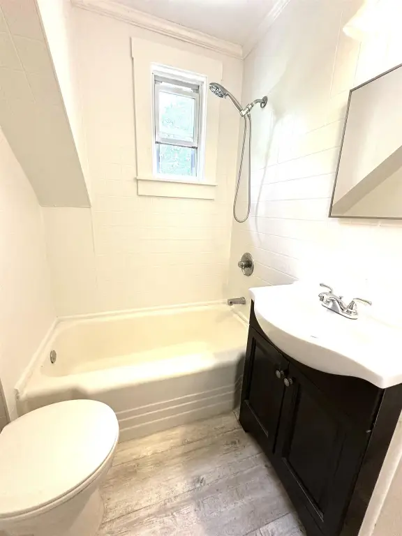 Picture 16