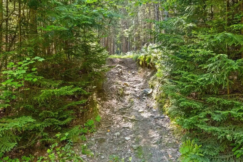 Picture 19