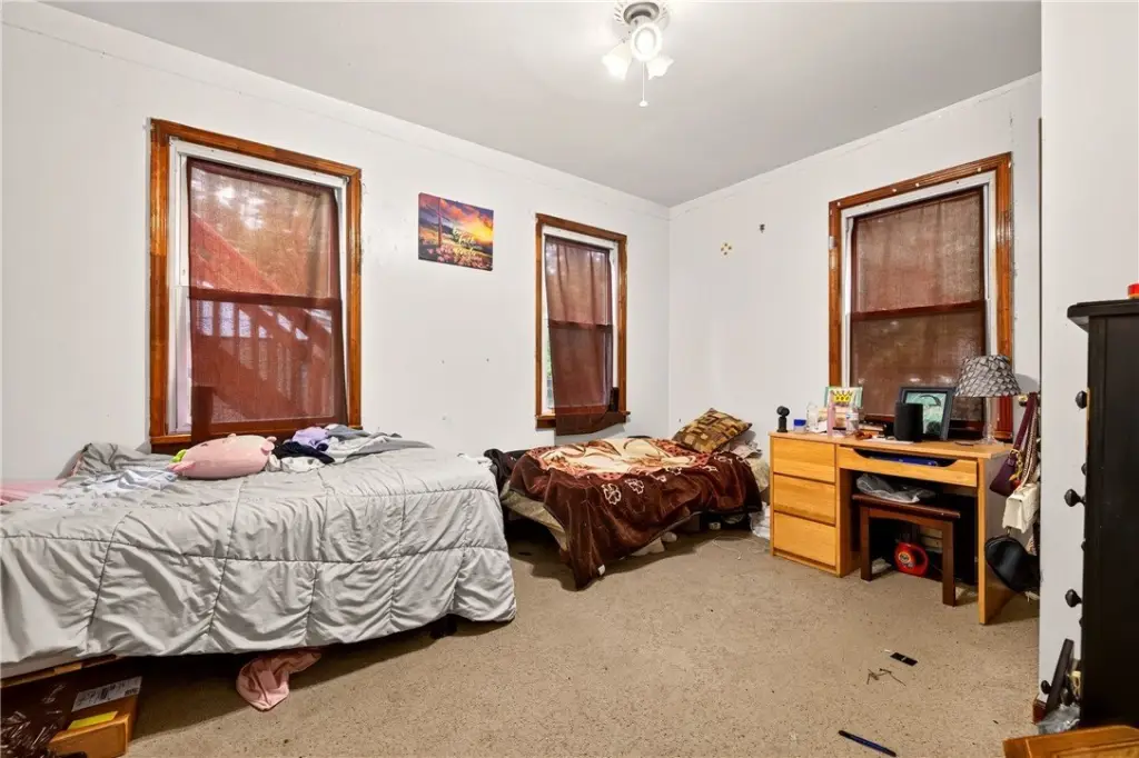Picture 12