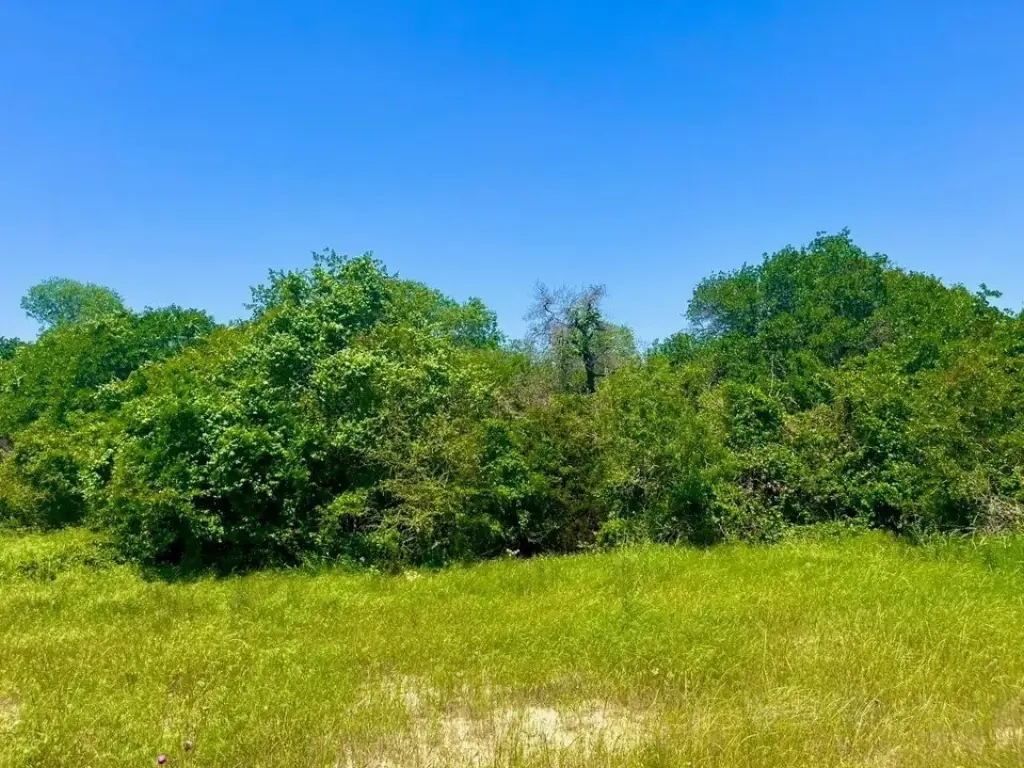 Picture 3