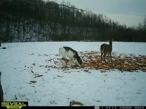 166 Acres of Prime Ohio Land