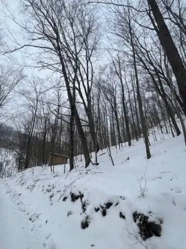 Scenic Land Ready to Build