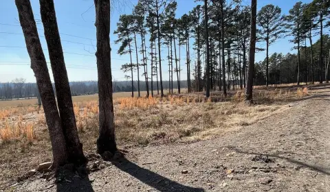 9.8 Acres Near Wister Lake