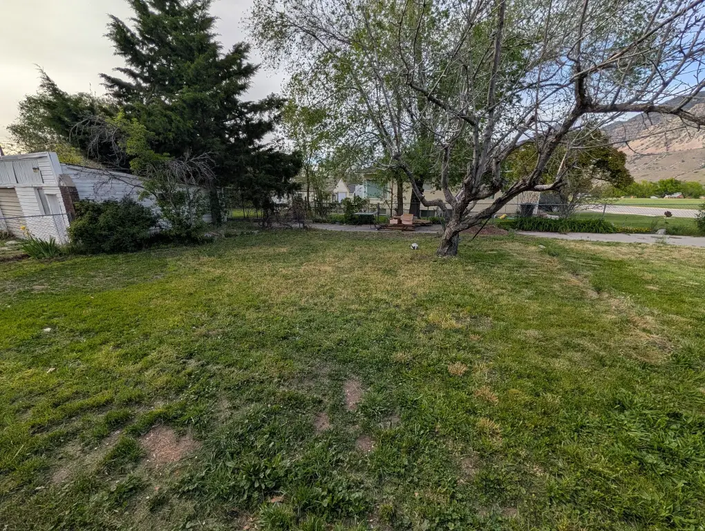 Picture 5