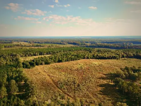 Recreational Hunting Land
