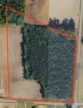 Expansive Acreage in Nichols, SC