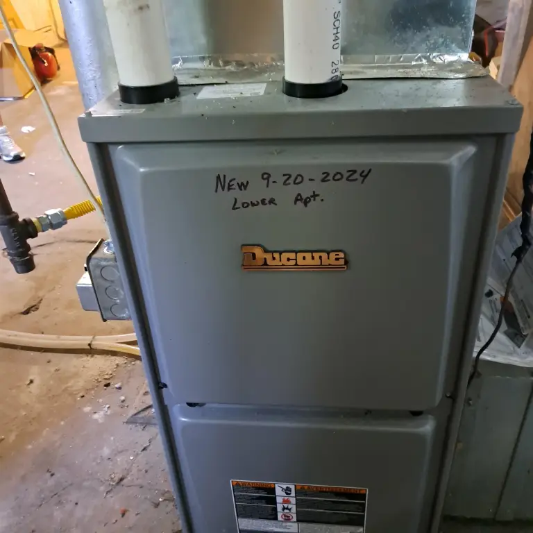 Picture 16