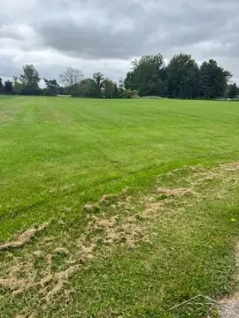 Residential Land in Vassar, MI