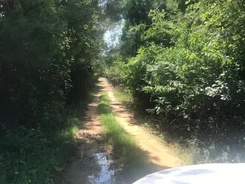 Barnwell, SC Land Opportunity